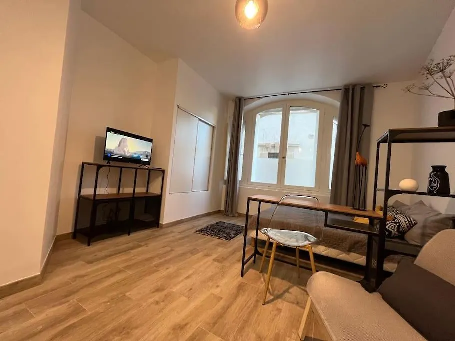 Studio Cosy Rez-De-Chaussee Foix Apartment