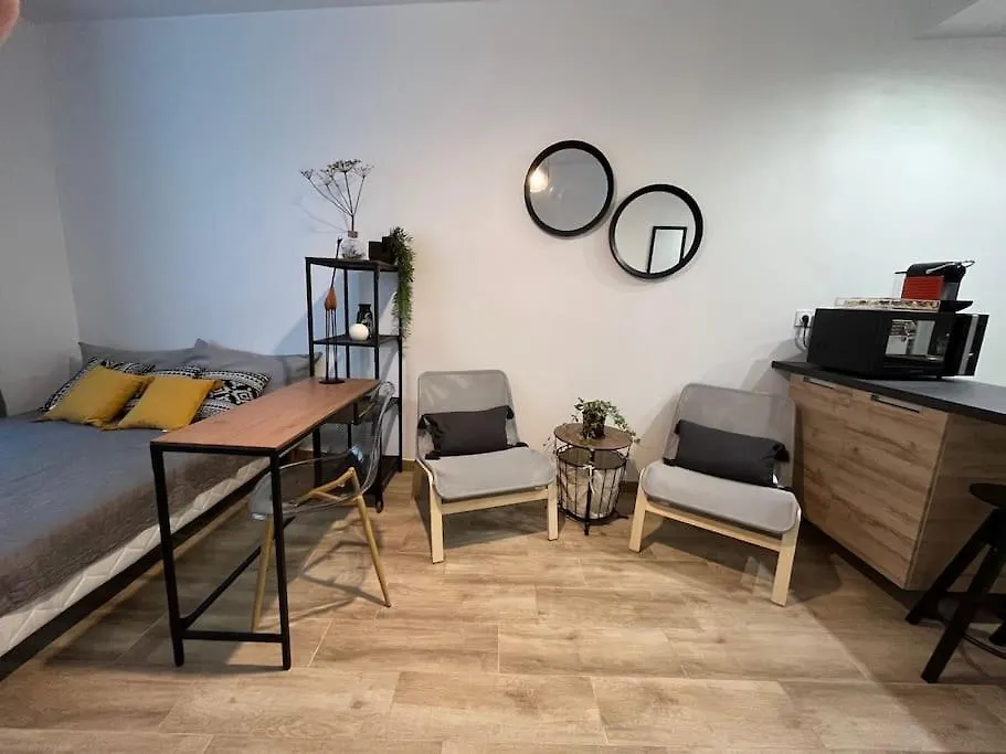 Apartment Studio Cosy Rez-De-Chaussee Foix