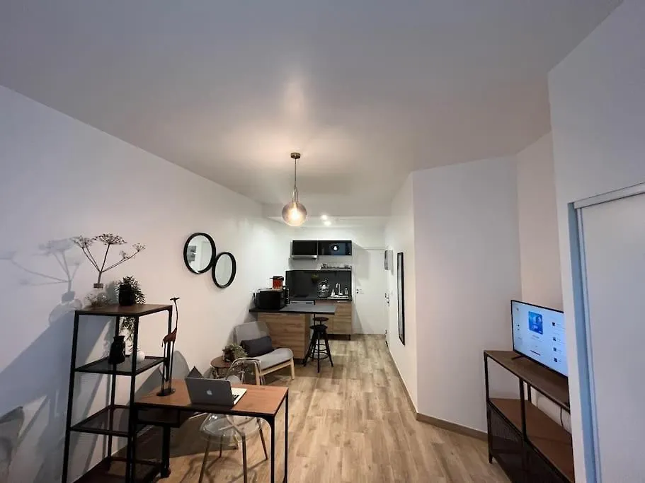 Apartment Studio Cosy Rez-De-Chaussee Foix