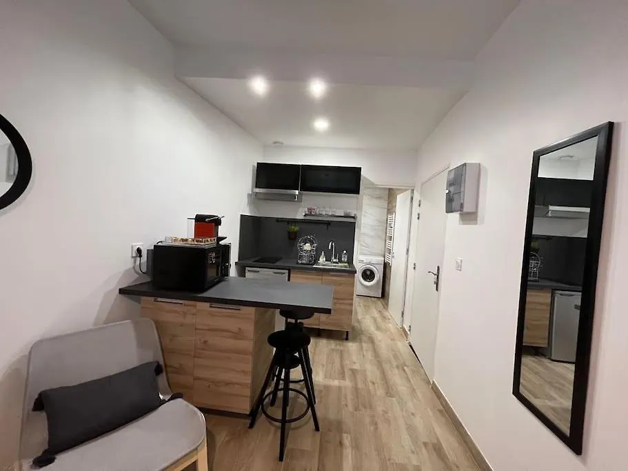 Studio Cosy Rez-De-Chaussee Foix Apartment